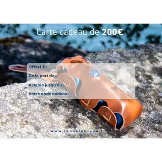 Carte Cadeau la boule bleue 200€